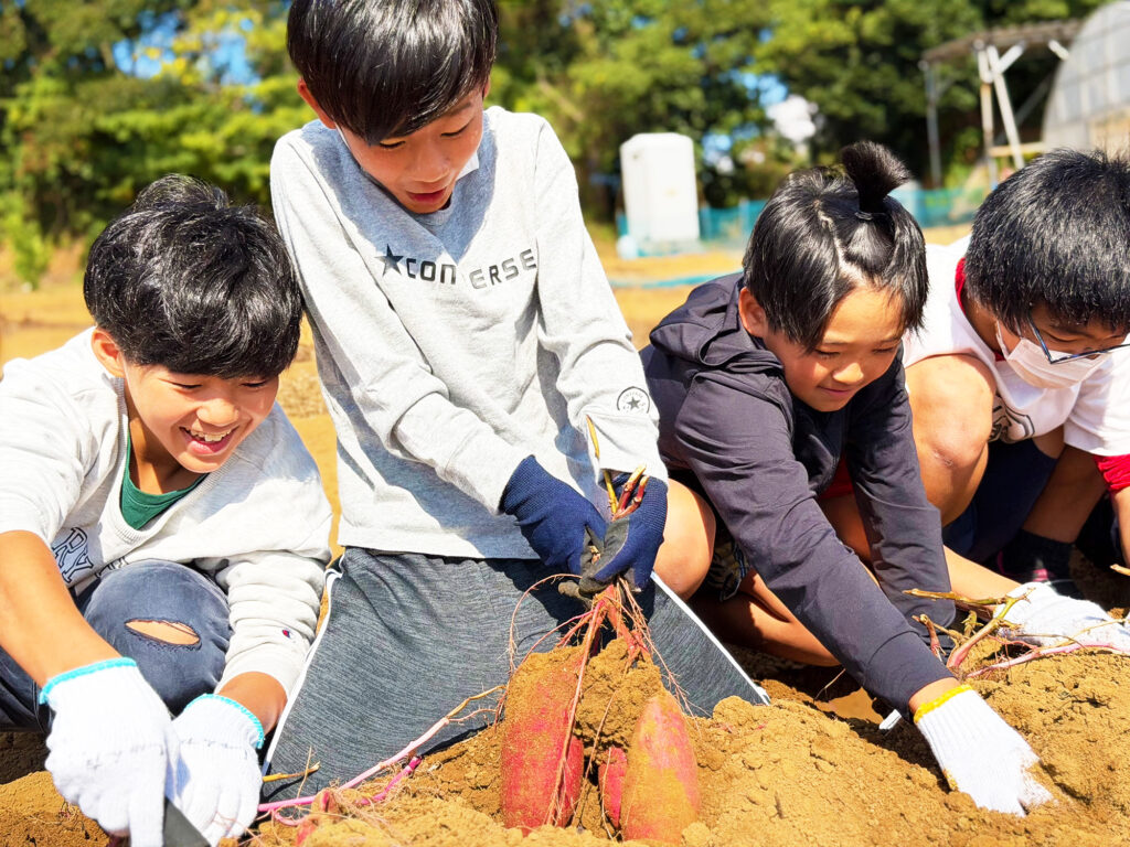 デフォルト画像