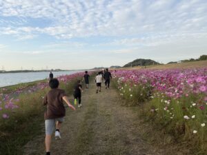 コスモスの咲く水巻の河川敷の道を進む子どもたち